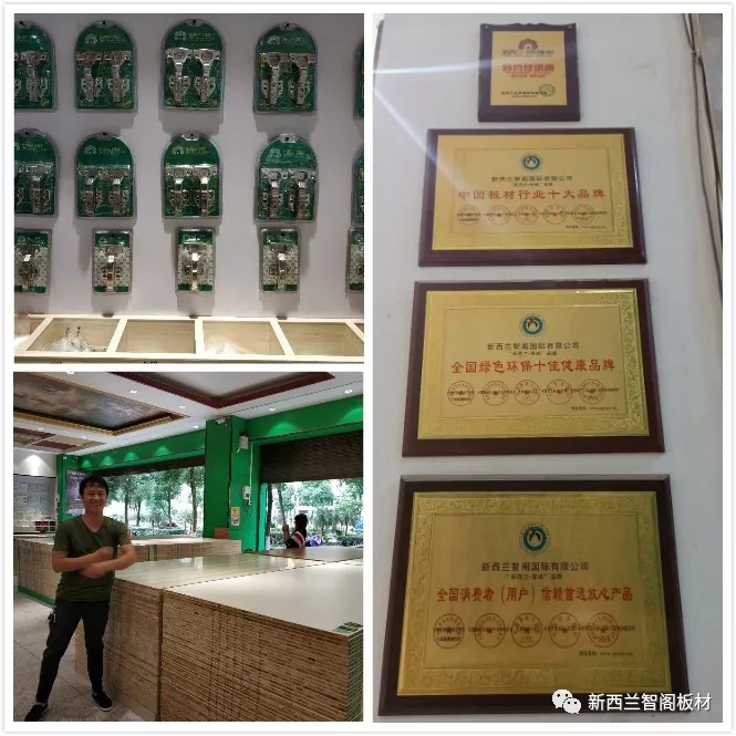 新西蘭智閣板材 新西蘭智閣板材